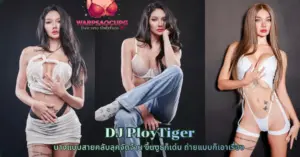 DJ PloyTiger vk